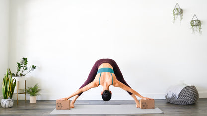 Premium Portuguese Cork Yoga Block